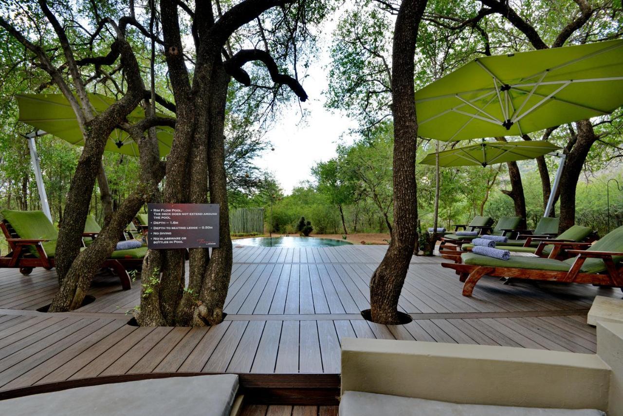 Tambuti * Pilanesberg