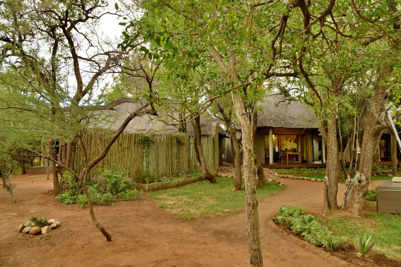 Lodge Tambuti Pilanesberg